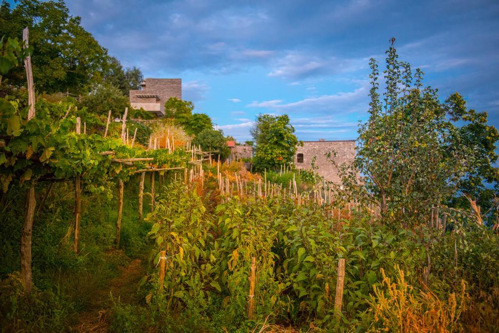 Agriturismo Mare E Monti Agerola Exterior photo