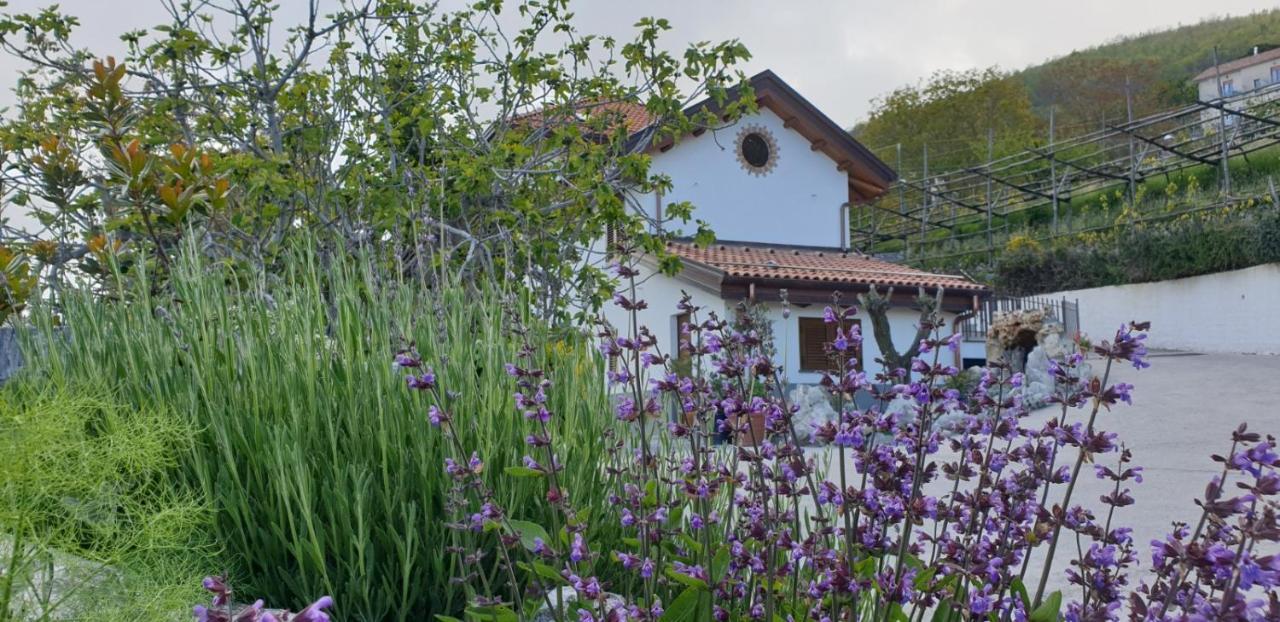 Agriturismo Mare E Monti Agerola Exterior photo