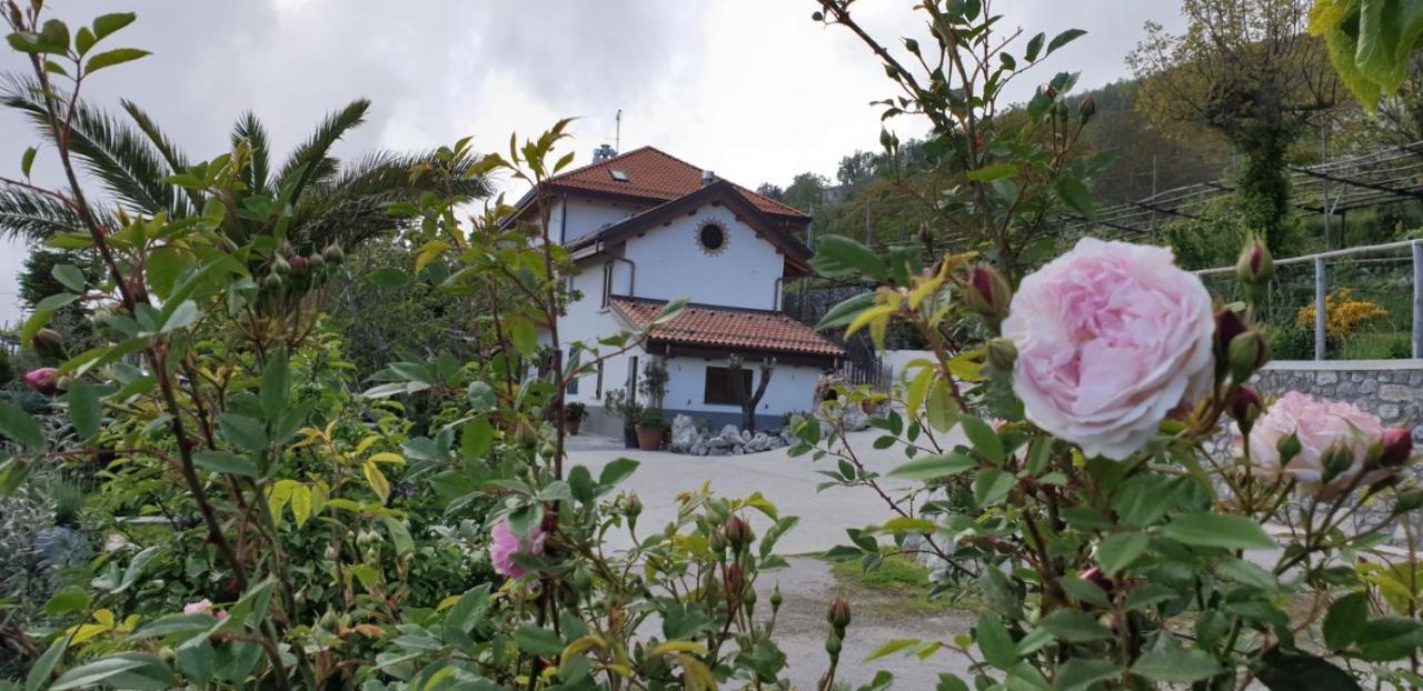 Agriturismo Mare E Monti Agerola Exterior photo